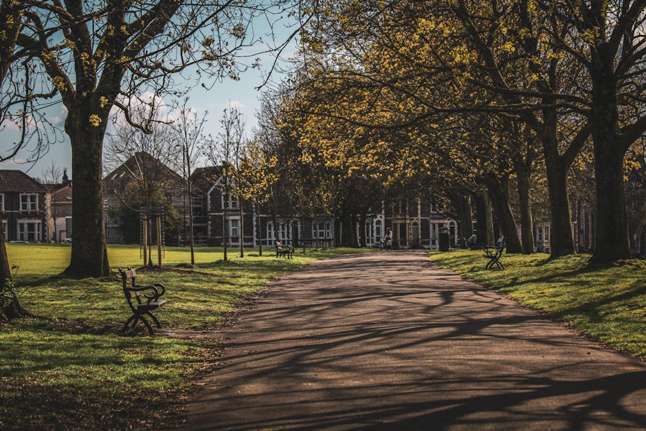 A long, paved pathway within a park lined with tall trees that have sparse yellow and green foliage, casting intricate shadows on the ground. Several wooden benches with black metal armrests are positioned along the grassy sides of the pathway. In the background, several residential houses with brick facades and pitched roofs are visible through the trees, indicating a suburban setting. The scene is lit by natural daylight, with soft sunlight filtering through the tree branches and creating a calm, inviting atmosphere suitable for outdoor leisure. The image captures an outdoor environment typical of a neighbourhood park, indirectly supporting the themes of home relocation and community connection associated with professional removals services like those provided by Removal Van Ilford, especially when considering moving logistics in residential areas such as Valentines Park for families and fragile items.